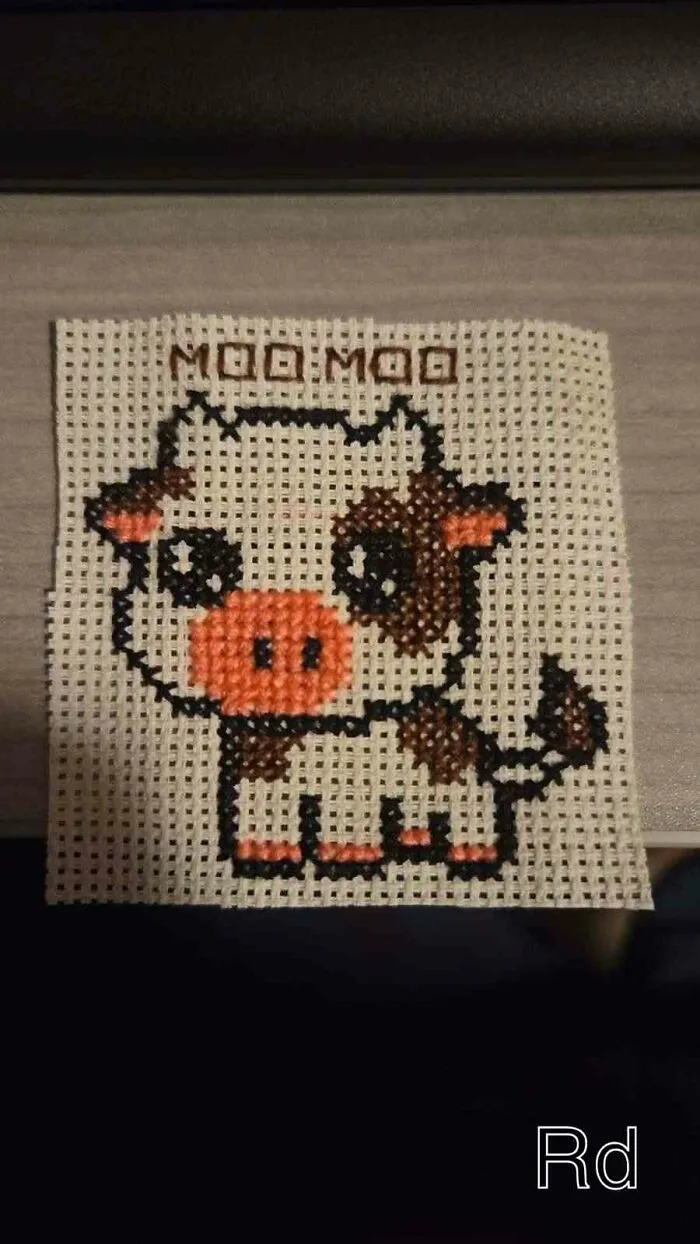 Cute Baby Cow