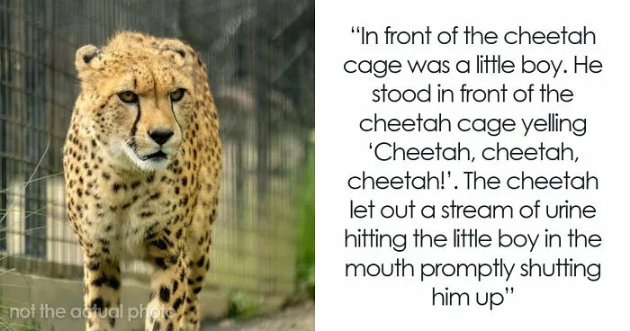 “The Most Beautiful Thing I've Ever Seen”: 65 Times Karma Hit Jerks Like A Train