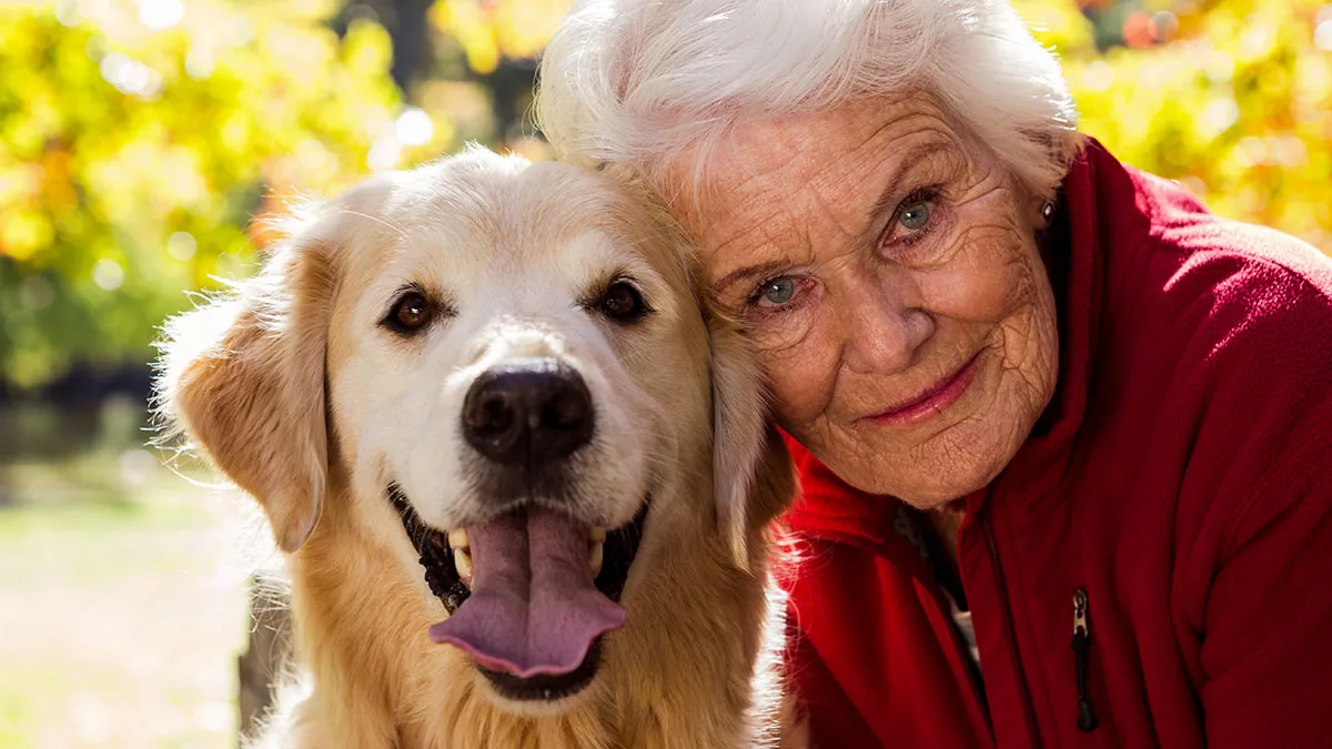 Lady Hires Neighbor To Walk Dog, Offended As He Rejects Her Alternative Way Of Paying For Services