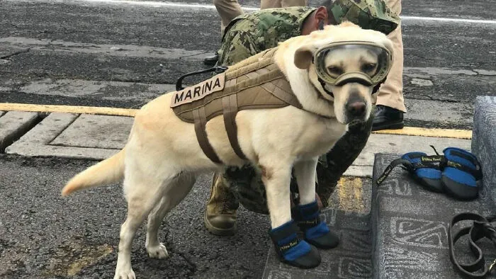 Mexico