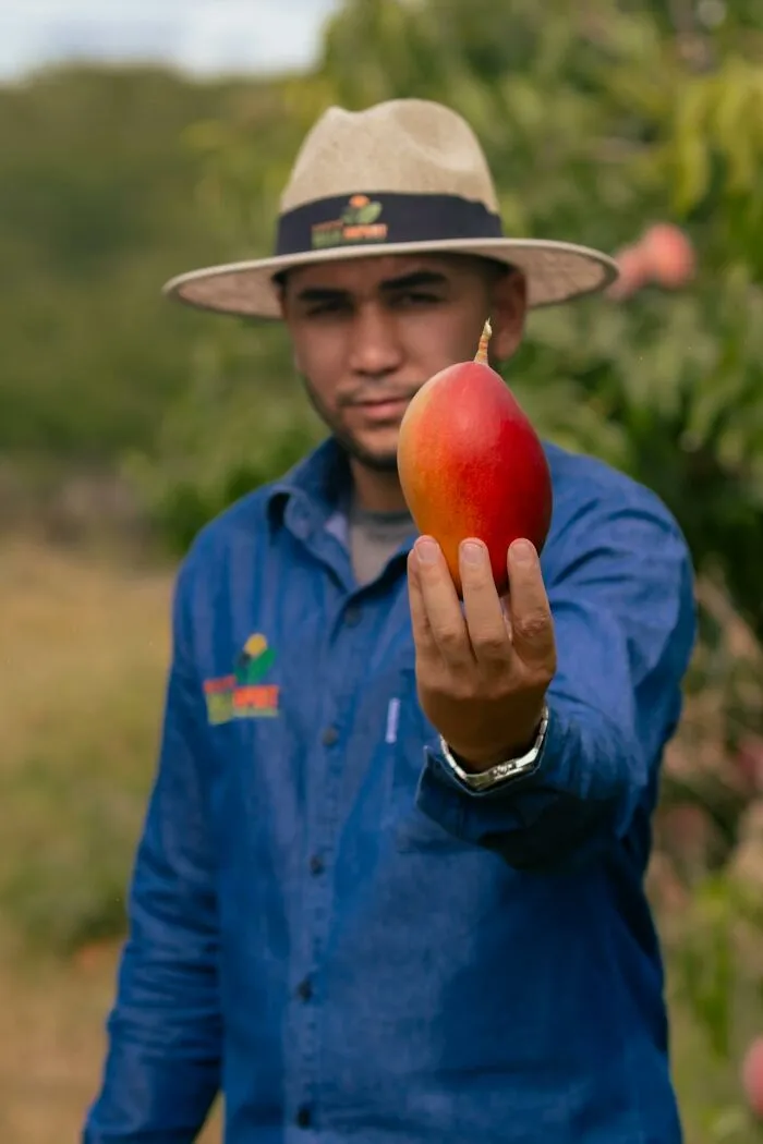 45 Country Stereotypes That Sound Exaggerated But Are Actually Real