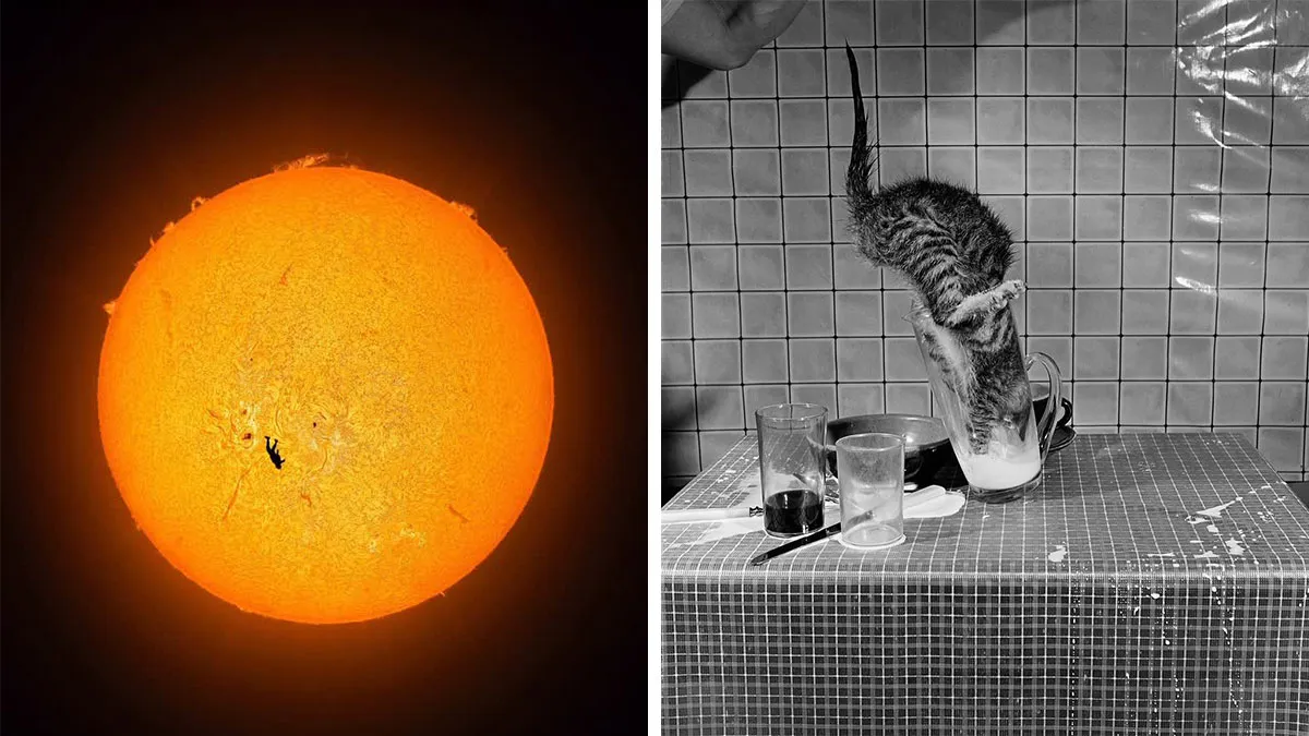 37 Fascinating Photos That Prove Timing Is Everything (New Pics)