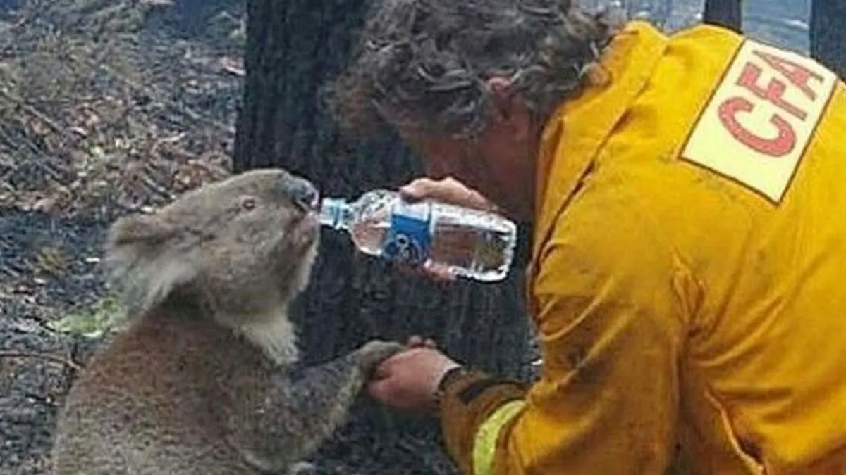 35 Wholesome Pics Showing That There’s Still Good In The World