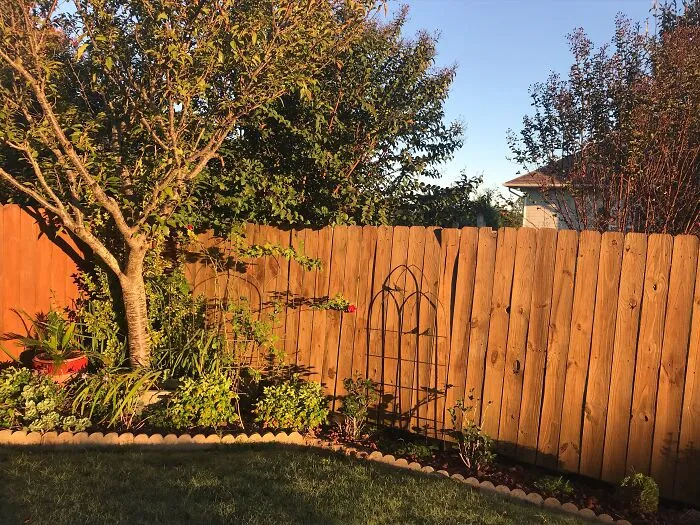 45 Times Neighbors Did Something So Strange It Had To Be Shared
