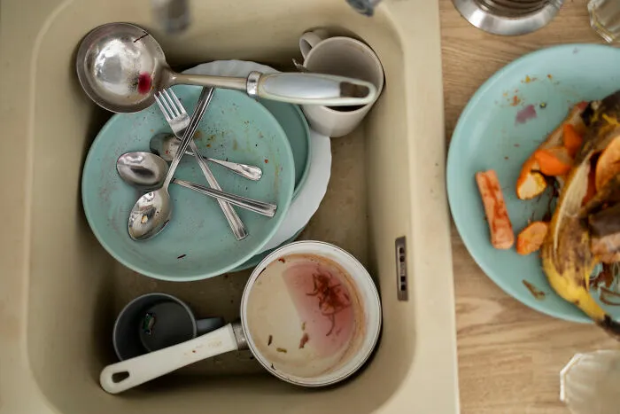 43 People Share Red Flags That They Always Look Out For In People's Homes