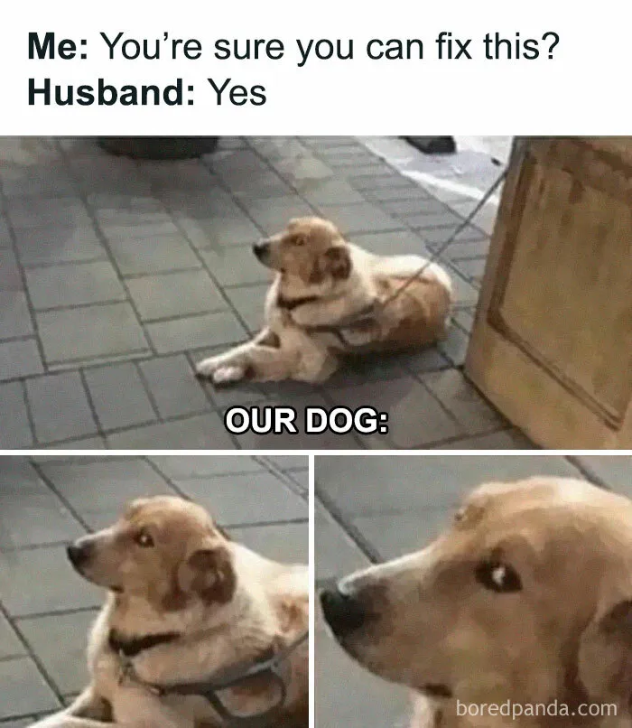 79 Funny And Chaotic Marriage Memes To Send Your Partner Instead Of Paying For Couple’s Therapy