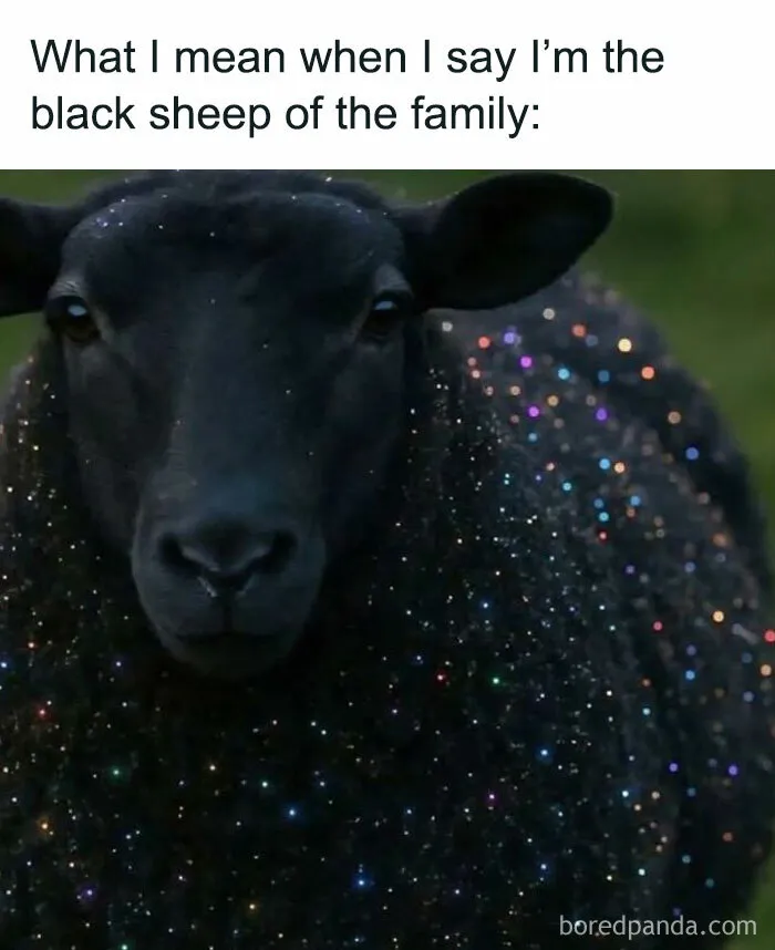 106 Funny Memes For People Who Are Mentally Tired