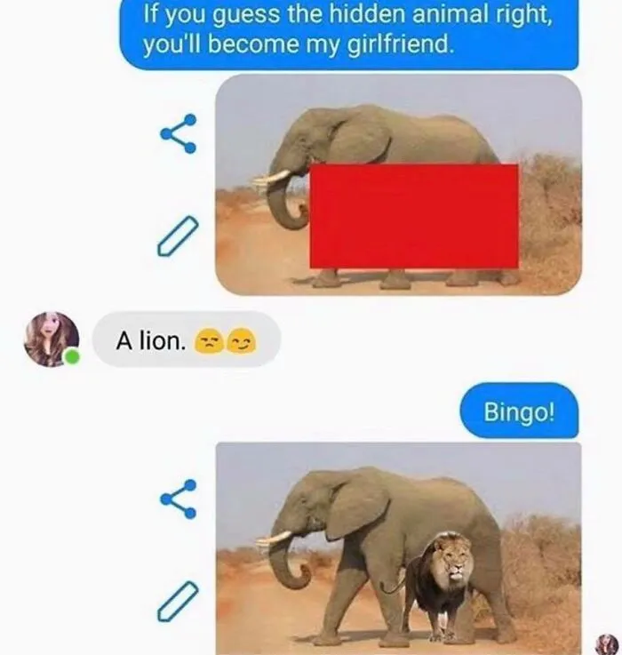 Funny text exchange about guessing hidden animals with an elephant and a lion in hilarious conversation screenshots