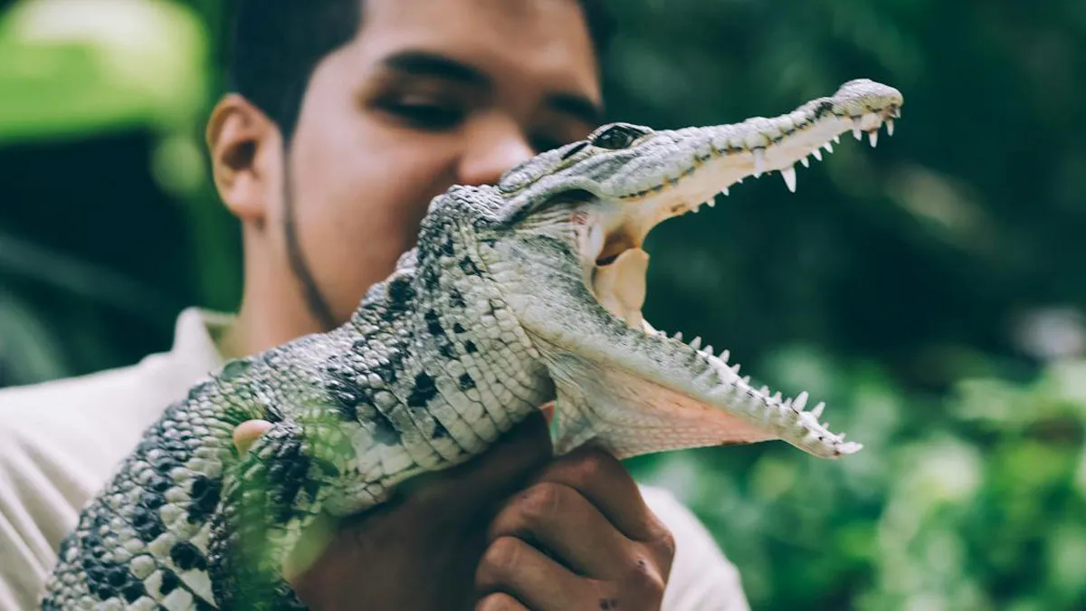 45 Country Stereotypes That Sound Exaggerated But Are Actually Real