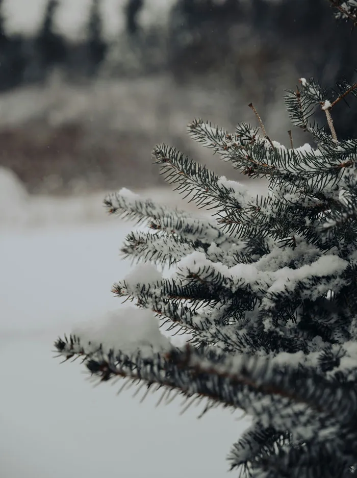 45 Unsettling Trips Into Nature When People Wanted To Leave Immediately