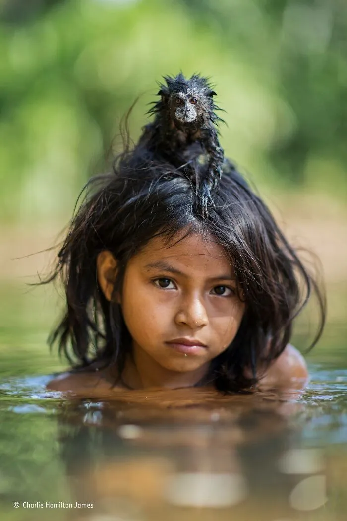 25 Fotos impresionantes que triunfaron en el concurso de Fotógrafo de Fauna salvaje del Año