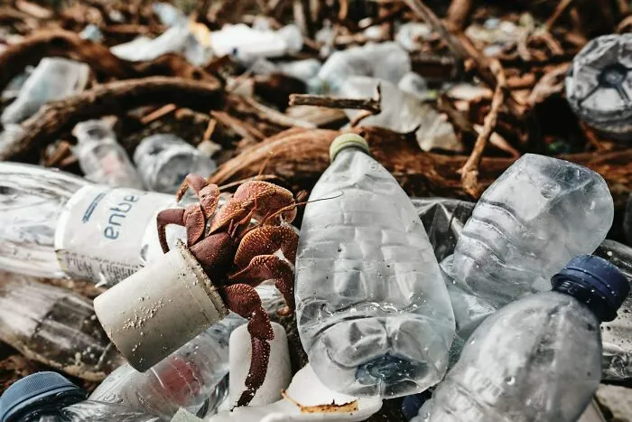 1st Place Conservation Photographer Of The Year 2020 - Matt Sharp