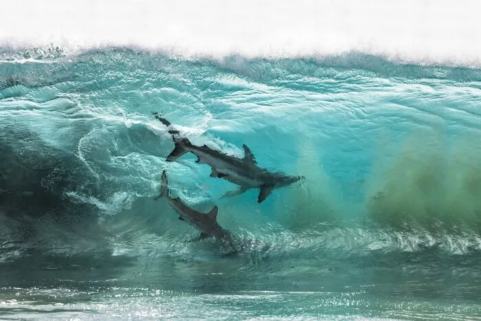 2nd Place Adventure Photographer Of The Year 2020 - Sean Scott