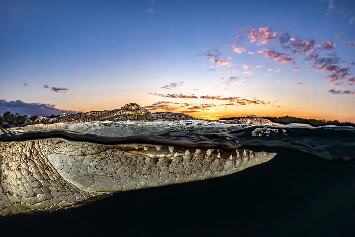 Finalist Adventure Photographer Of The Year 2021 - Tanya Houppermans