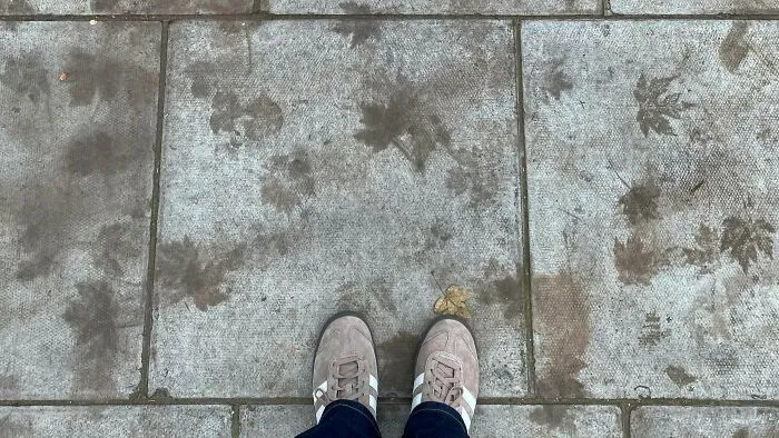 When I walked on paved pathways, I would always avoid the cracks, like it’s the longest casual game of hopscotch, but without the hops.