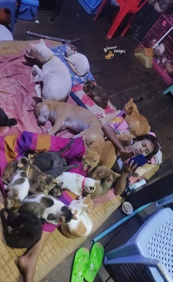 113 Wholesome Photos That May Make You Forget About The Toxicity Of Social Media (New Pics)
