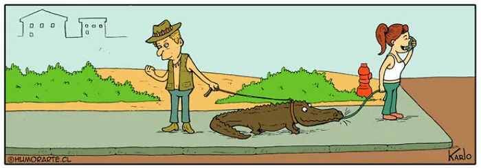 71 New Comics By Karlo Ferdon That Turn Real Situations On Their Head