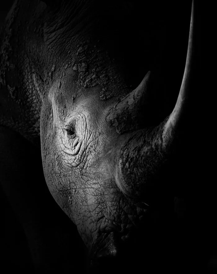 50 Incredible Wildlife Shots By This Photographer, Along With The Memories Behind Each One