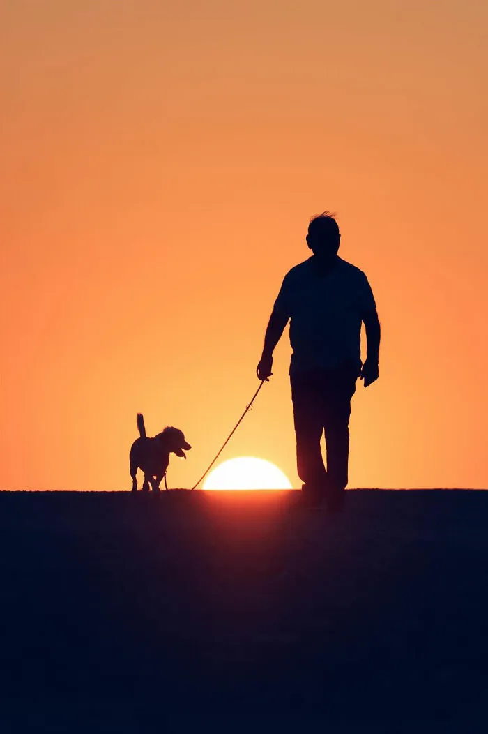 This Photographer Makes Minimalism Look Incredibly Expressive (44 Pics)