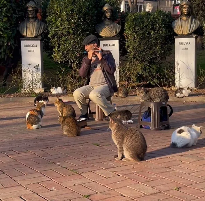 50 Hilarious And Adorable Cat Photos That Perfectly Capture Everyday Chaos, Shared By This Community (New Pics)