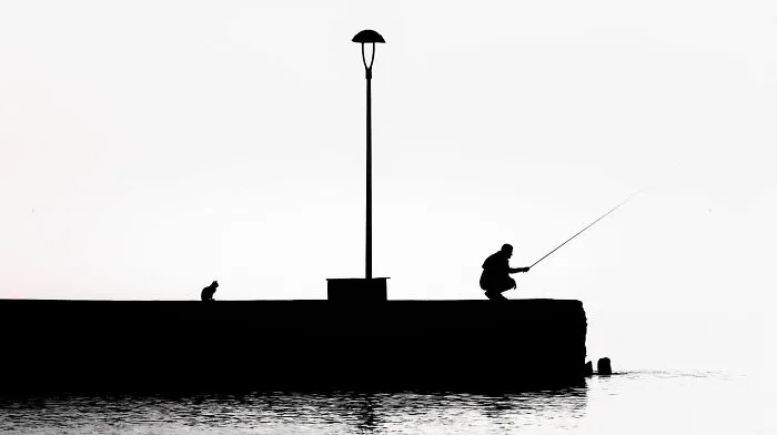 This Photographer Makes Minimalism Look Incredibly Expressive (44 Pics)