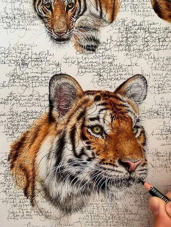 Artist Created 34 Stunning Animal Sketches That Look Almost Too Real To Be Drawn