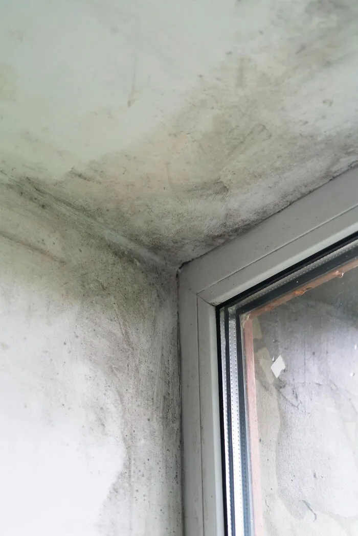 From Filthy Kitchens To Unthinkable Finds, 33 People Share Their Worst House Visits