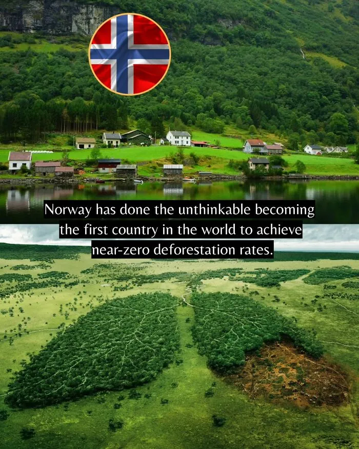 77 Good News For Those Who Gave Up On The World