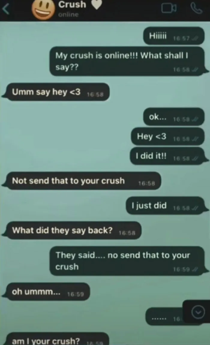 51 Unhinged Text Messages People Received That Were So Funny They Had To Screenshot Them