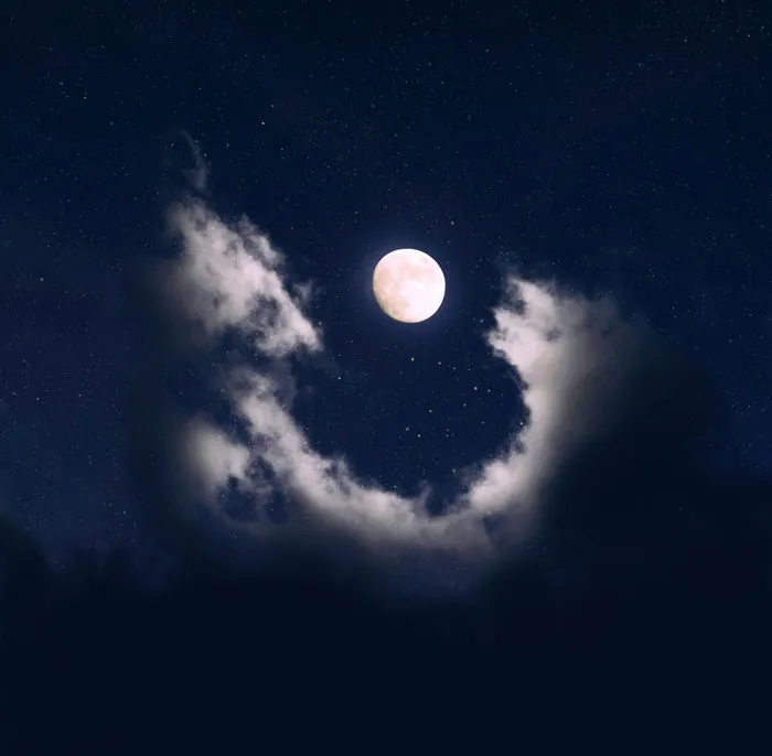 45 Unsettling Trips Into Nature When People Wanted To Leave Immediately
