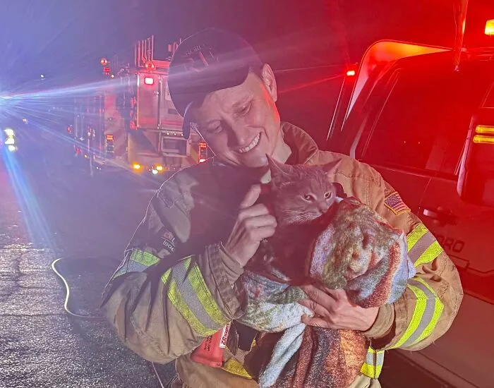 Firefighter holding a rescued cat wrapped in a blanket, highlighting animals saved from awful conditions and given a second chance.