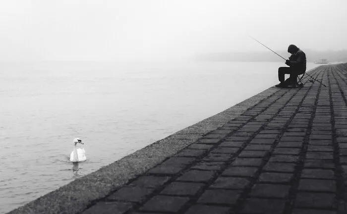 This Photographer Makes Minimalism Look Incredibly Expressive (44 Pics)