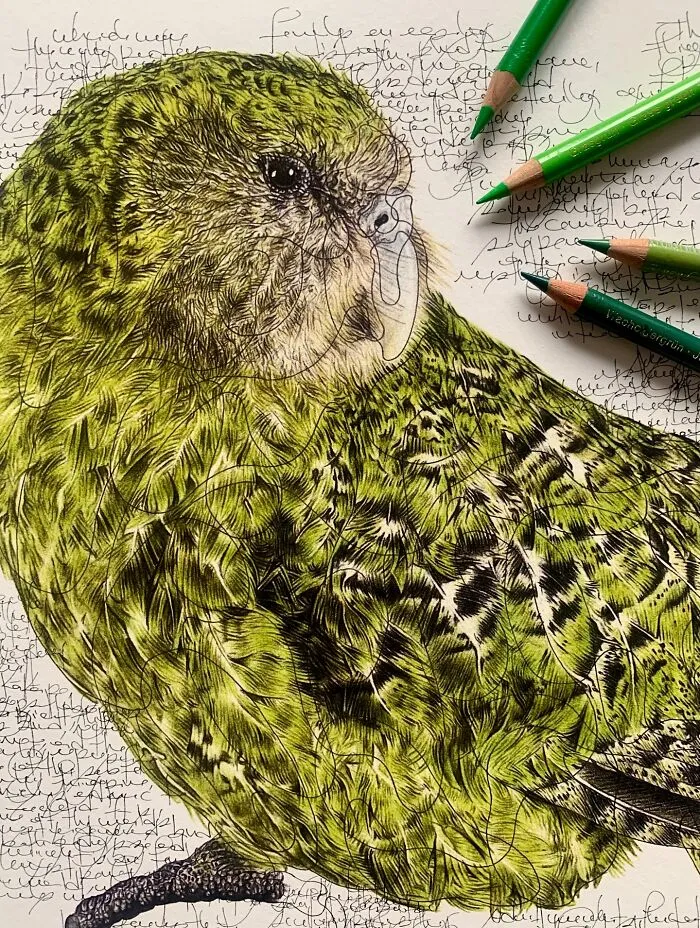 Artist Created 34 Stunning Animal Sketches That Look Almost Too Real To Be Drawn