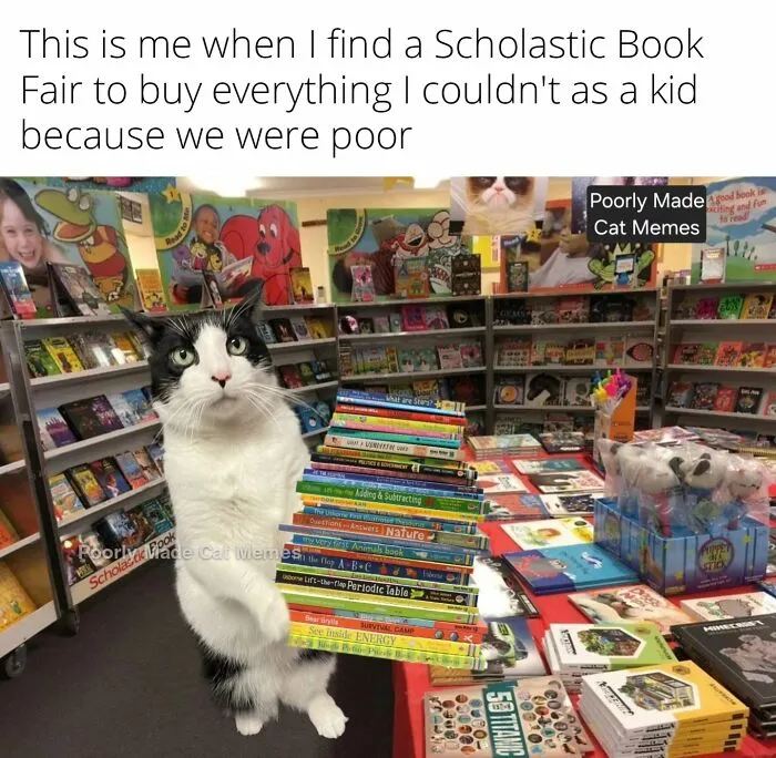 If You Love Chaotic Cat Humor, These 51 Poorly Made Cat Memes Might Be For You