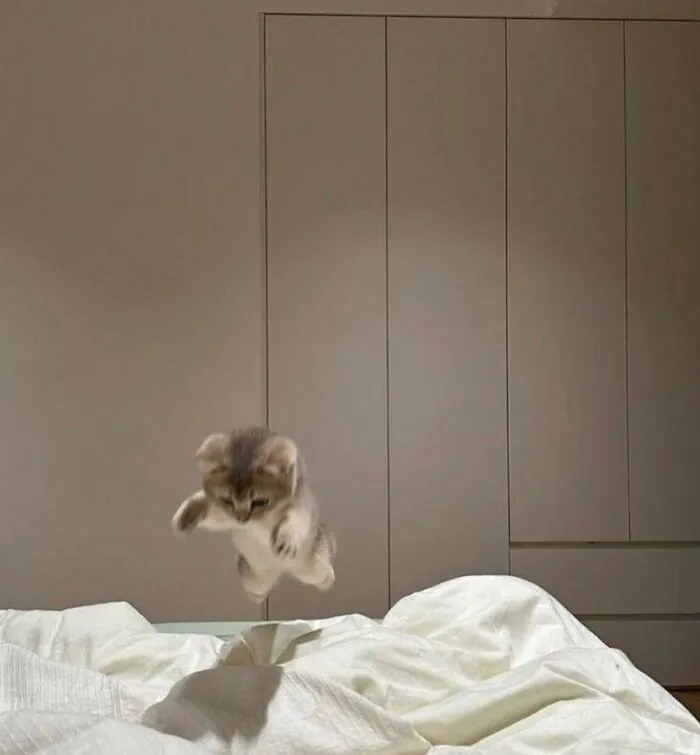 60 Of The Sweetest Tiny Animals Shared By The ‘Smol Posts’ Page