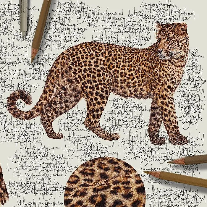 Artist Created 34 Stunning Animal Sketches That Look Almost Too Real To Be Drawn