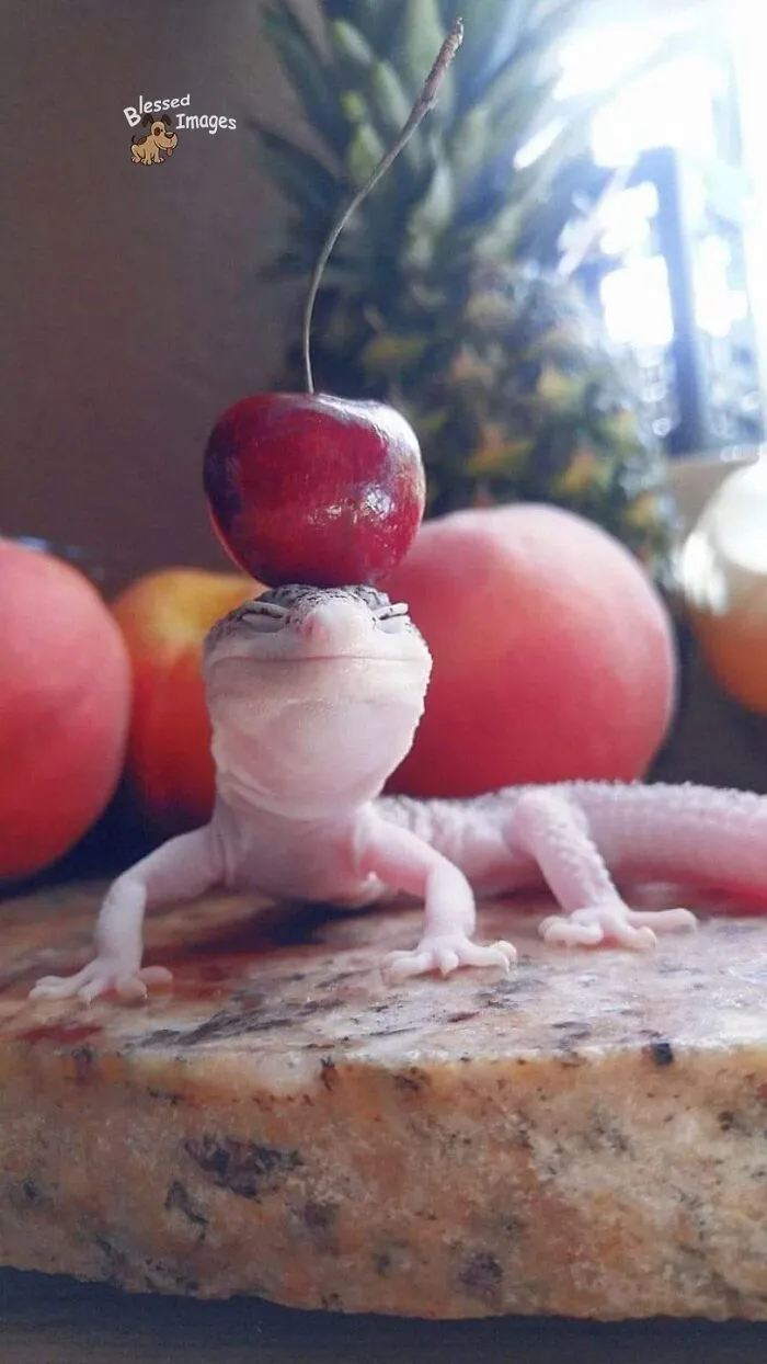 113 Wholesome Photos That May Make You Forget About The Toxicity Of Social Media (New Pics)