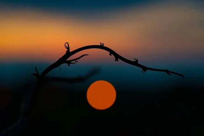 This Photographer Makes Minimalism Look Incredibly Expressive (44 Pics)