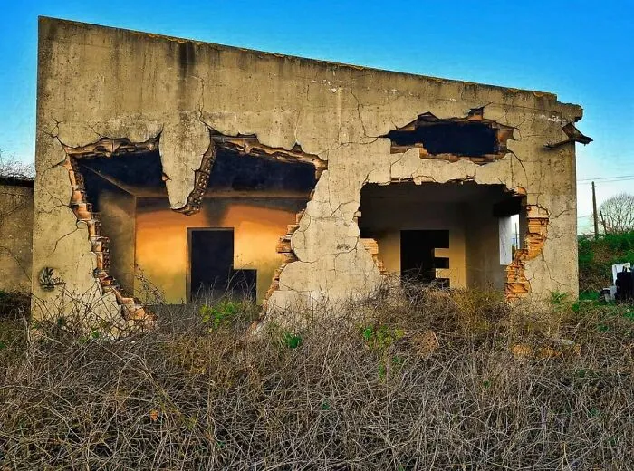 This Page Shared 45 Murals That Turn Ordinary Walls Into Masterpieces