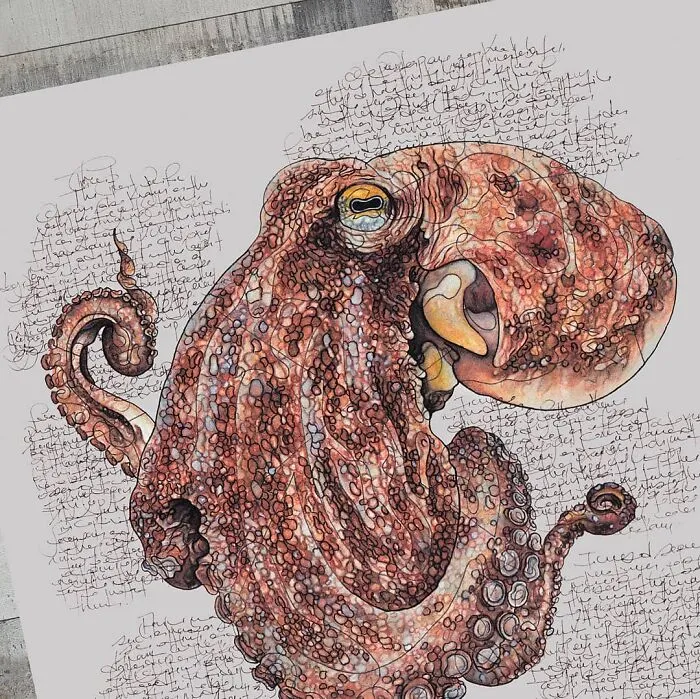 Artist Created 34 Stunning Animal Sketches That Look Almost Too Real To Be Drawn