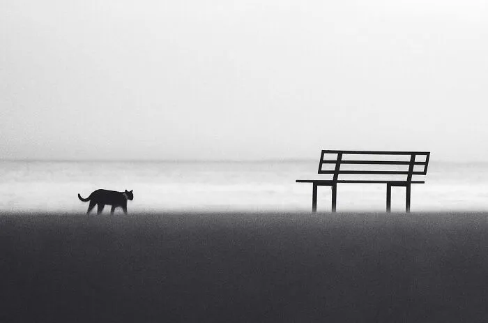 This Photographer Makes Minimalism Look Incredibly Expressive (44 Pics)