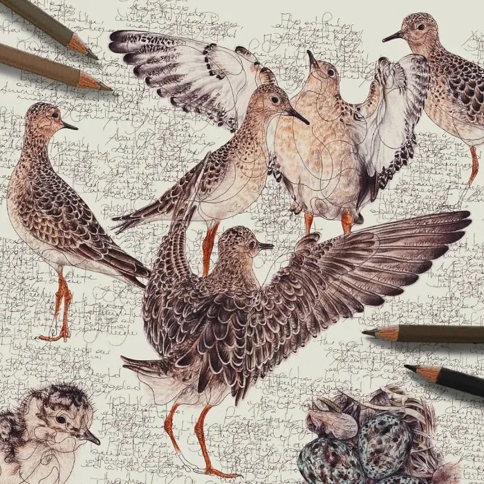 Artist Created 34 Stunning Animal Sketches That Look Almost Too Real To Be Drawn