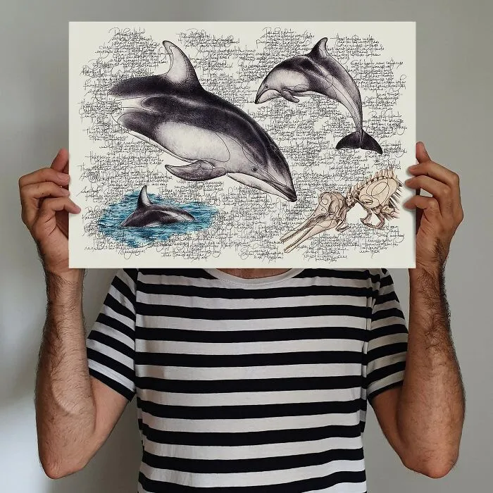 Artist Created 34 Stunning Animal Sketches That Look Almost Too Real To Be Drawn