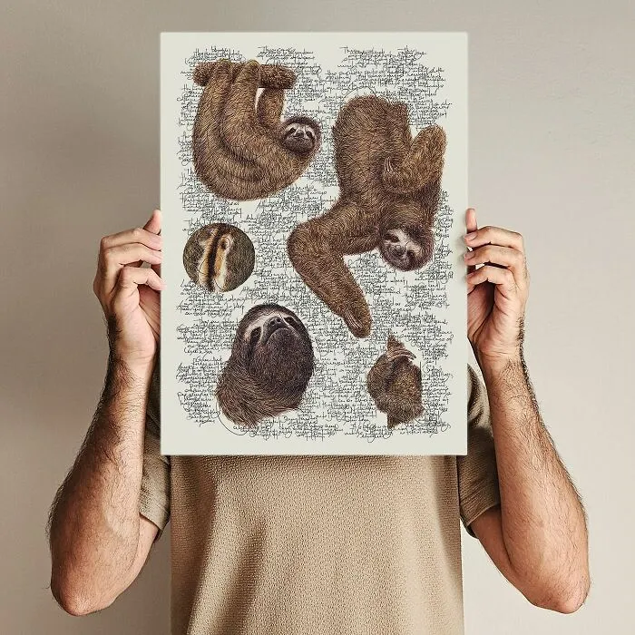 Artist Created 34 Stunning Animal Sketches That Look Almost Too Real To Be Drawn