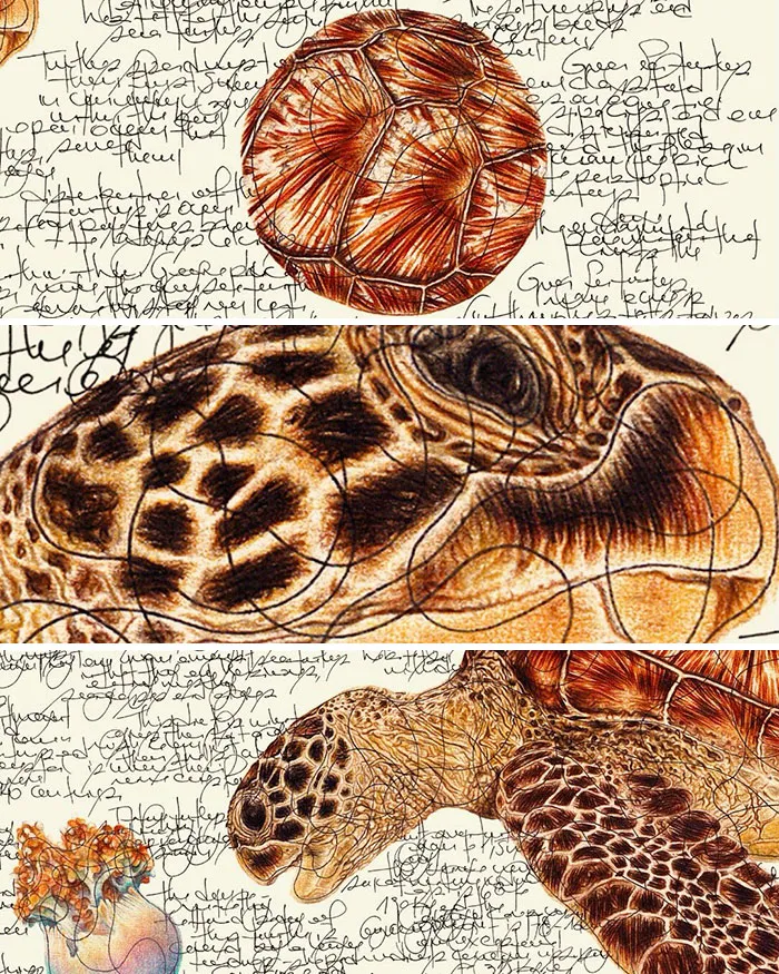 Artist Created 34 Stunning Animal Sketches That Look Almost Too Real To Be Drawn