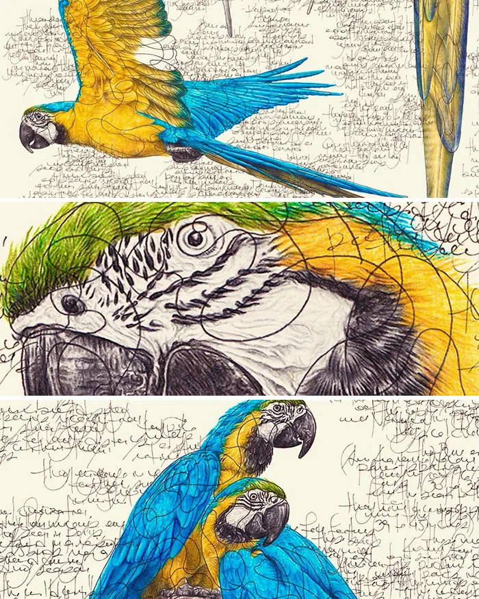 Artist Created 34 Stunning Animal Sketches That Look Almost Too Real To Be Drawn