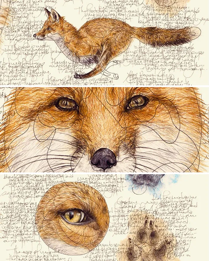 Artist Created 34 Stunning Animal Sketches That Look Almost Too Real To Be Drawn