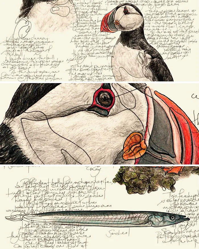 Artist Created 34 Stunning Animal Sketches That Look Almost Too Real To Be Drawn