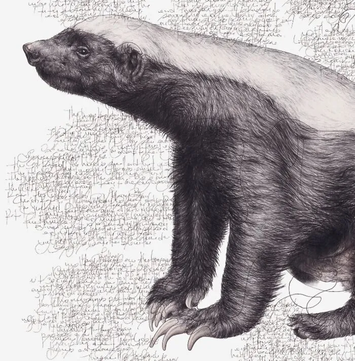 Artist Created 34 Stunning Animal Sketches That Look Almost Too Real To Be Drawn