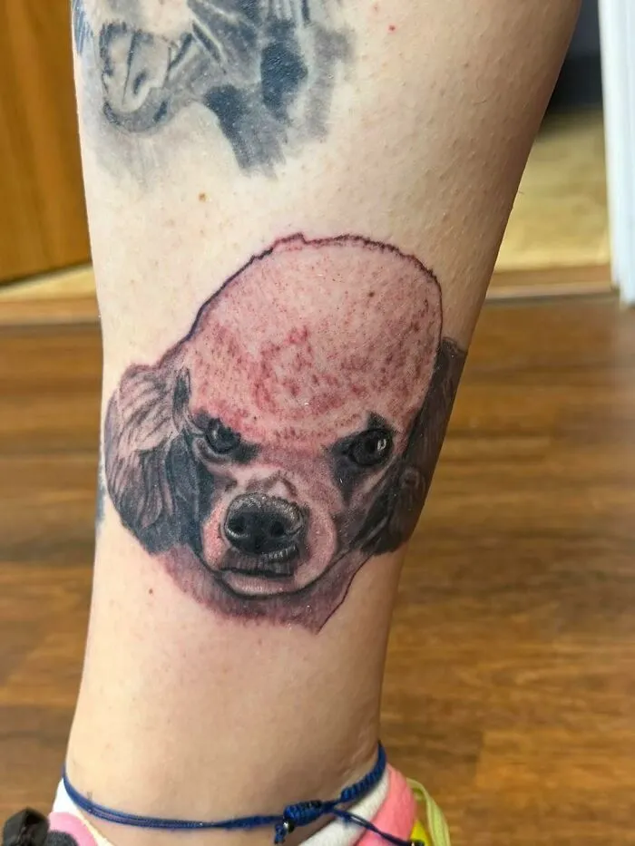 83 Times People Thought They Were Getting A Cool Tattoo And Ended Up With A Disaster (New Pics)